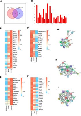 Landscape of T Cells Transcriptional and Metabolic Modules During HIV Infection Based on Weighted Gene Co-expression Network Analysis